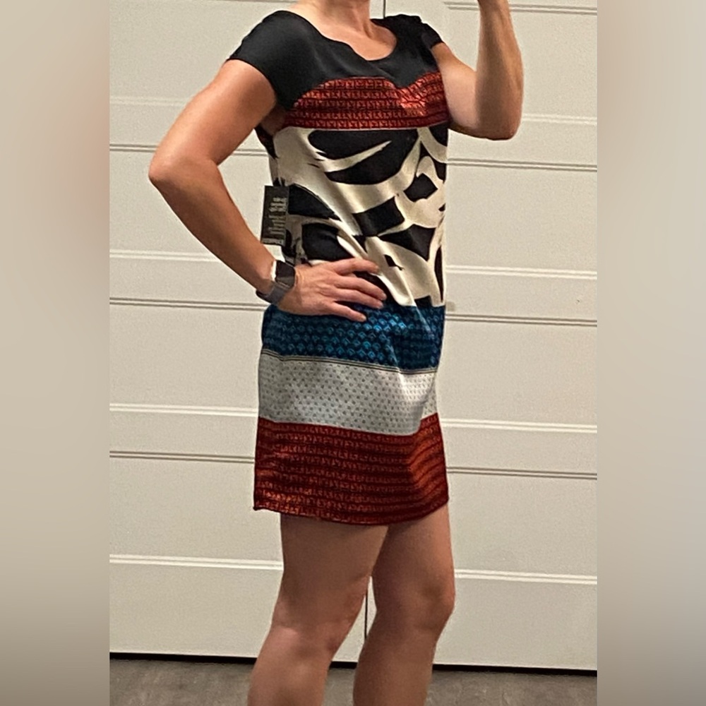 Express Shift Dress, NWT, small - Picture 3 of 11